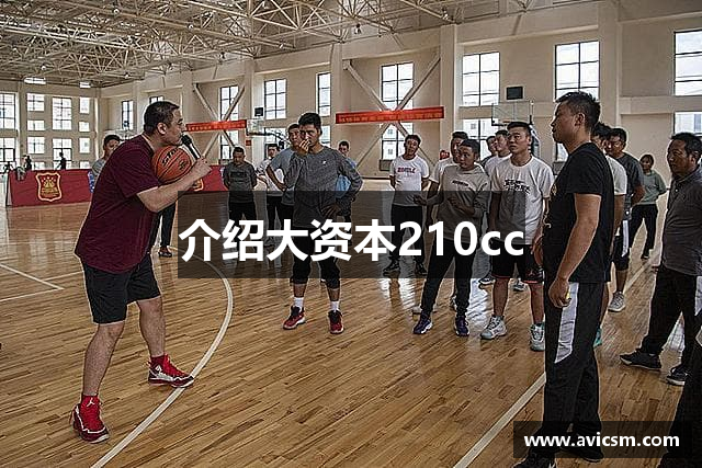 介绍大资本210cc